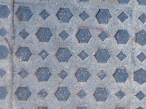 IMG_0482