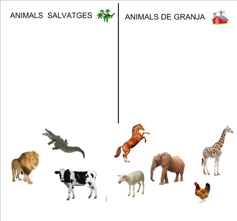 animals_1