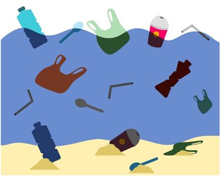 Implica't+ per la biodiversitat!