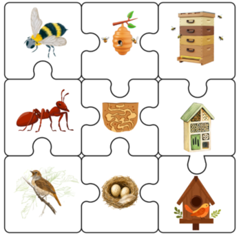 Implica`t+ amb l'hàbitat dels animals