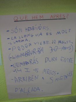 quehemapres1.jpg