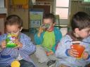 fotos-cole-nou-037.jpg