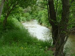 gurri