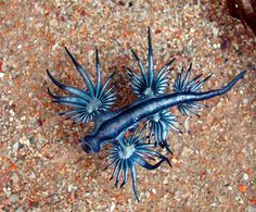 1eb0e422d063f9a9d2a19bb1fac7248e