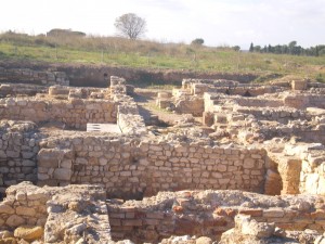 termes (jessica;glòria)