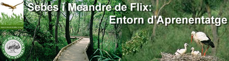 banner-petit.jpg