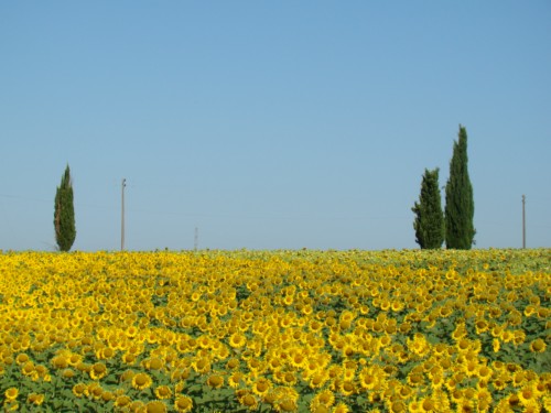 dsc05081