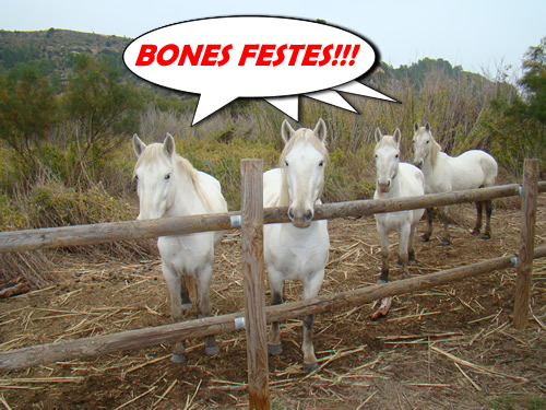 bones-festes