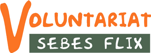 voluntariat-sebes
