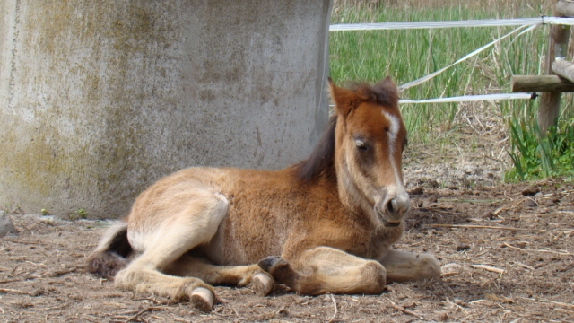 dsc01794-640x480