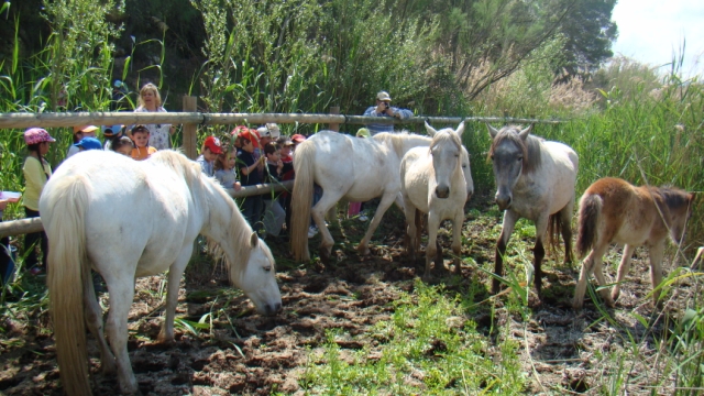 dsc01915-640x480