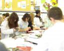 lab02.jpg