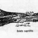 bolet-saprofit