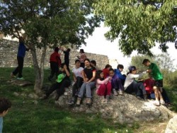 photo_5