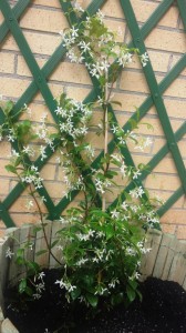 20150520_165935