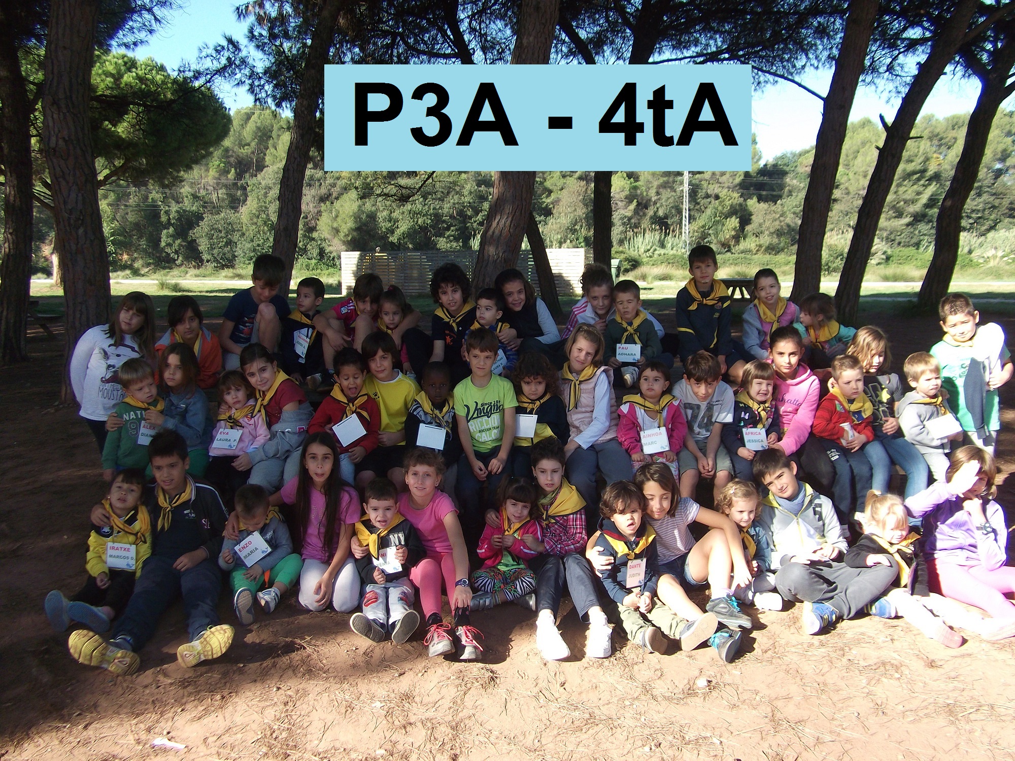 P3A
