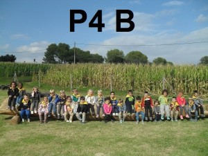 FOTO GRUP P4B