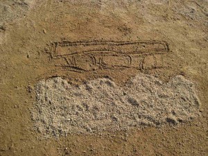 projectes-vinvenciats