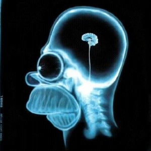 homer_simpson_xray