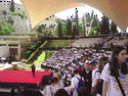 tarragona-coral.gif