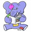 elefant