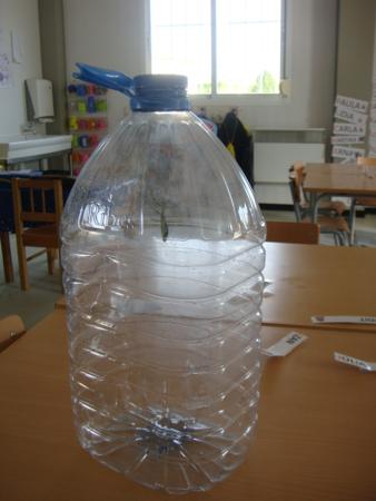 LA GARRAFA AMB EL SALTAMARTÍ