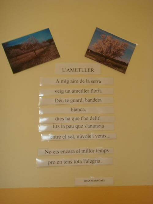 poesia4