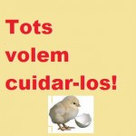 cuidarlos