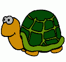 tortuga