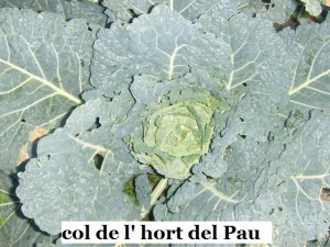 col-pau