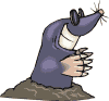 taupe_002