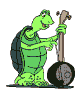 x_tortugatoc