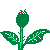 fleur_011