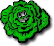 lletuga1