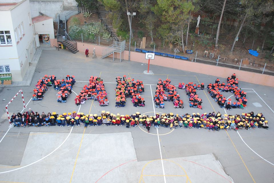 1477729_192987724223861_573281460_n