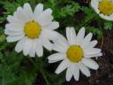 dsc03323.JPG
