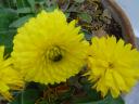 dsc03324.JPG