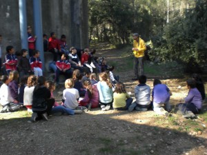 Sortida a l'Estol