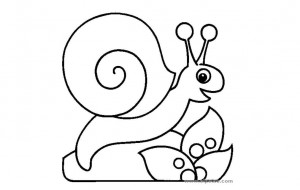 cargol1
