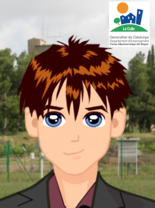 rocculla