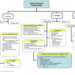 4 Evolución franquismo hasta 1959