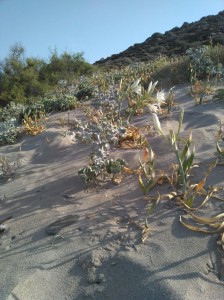 Menorca 2015 foto realitzada per Marina Ros autora del mateix blog