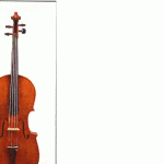 viola2