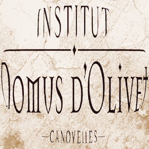 cropped-LOGO-DOMUS_antic.jpg
