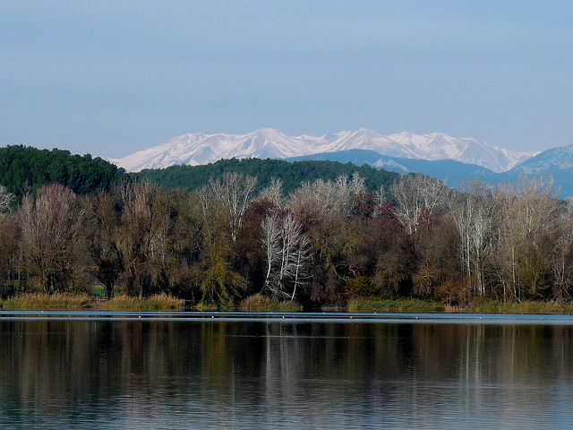 4271906296_49d66fe98f_z