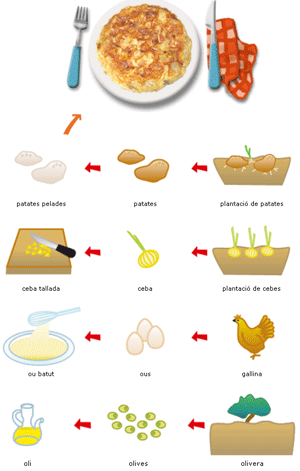 ORIGEN DELS ALIMENTS