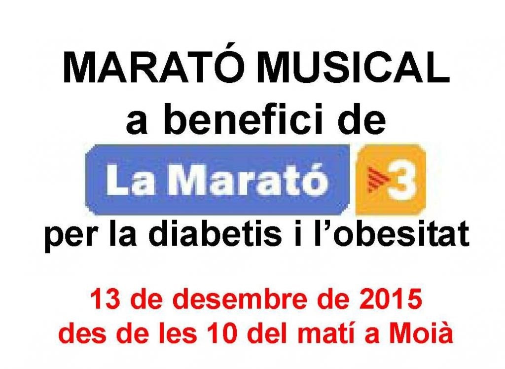 cartell-marato-2015retallat