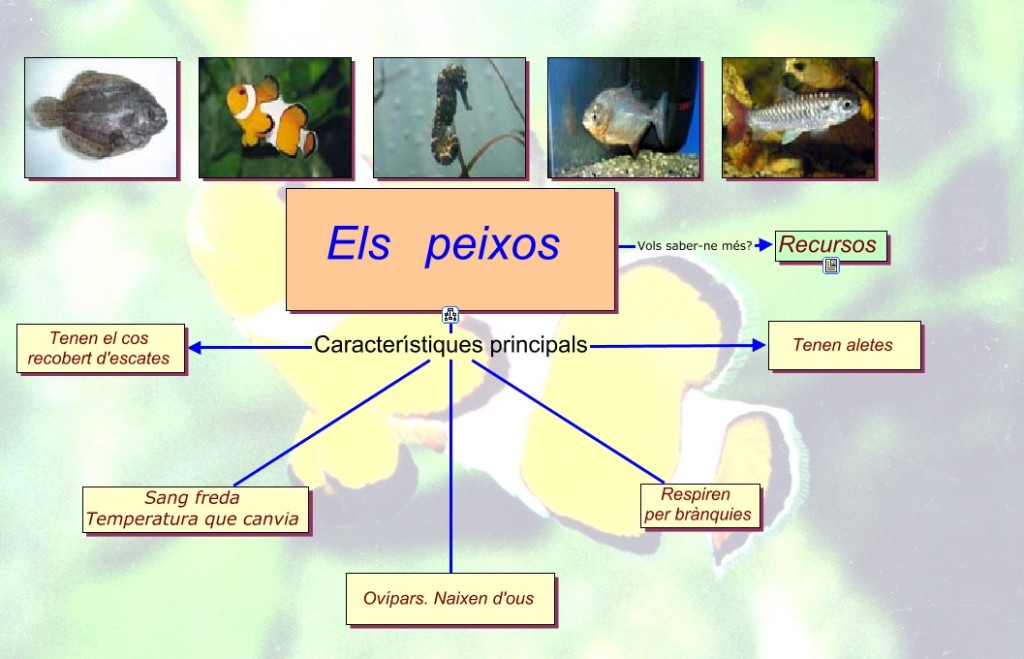 esquemapeixos