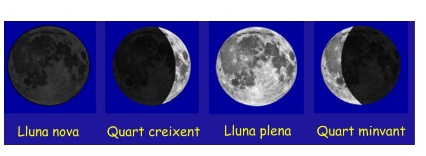 fases de la lluna1