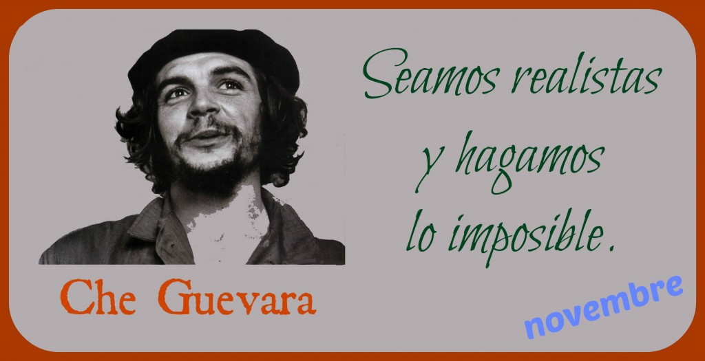 frase novembre